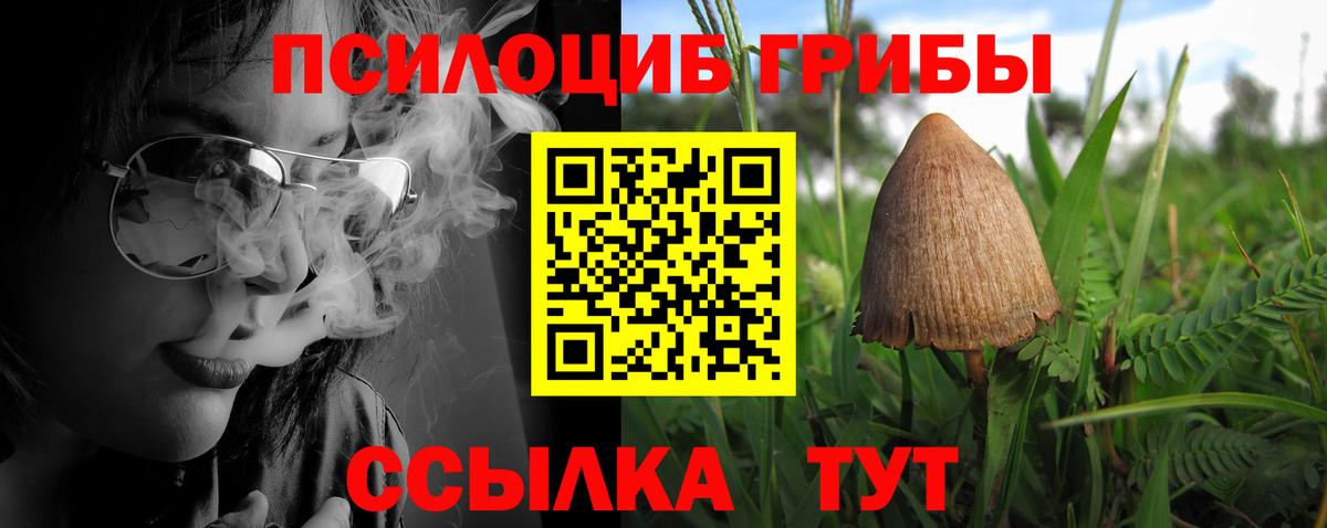 Галлюциногенные грибы Psilocybe Еманжелинск